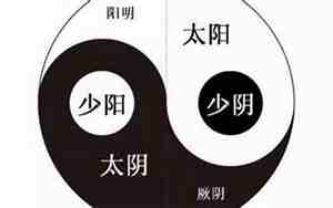 太阳太阴入夫妻宫