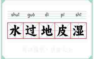 水过地皮湿是什么意思