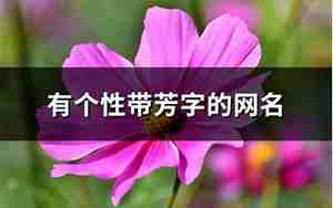网名带芳字的网名