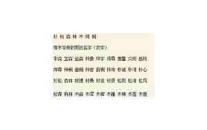 名字带木的女孩名