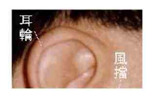 男生耳朵看面相