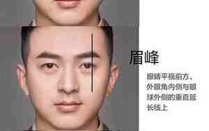眉毛和眼皮距离近