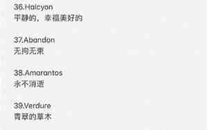 好听的微信英文名字女孩