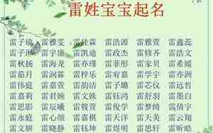 雷姓男孩取名100分