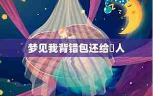 梦见背别人的包是什么意思