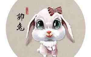 属兔和属兔的合不合