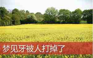 梦见自己牙被别人打掉怎么回事