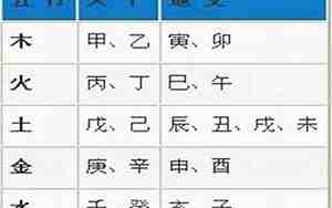 巳属什么五行属性