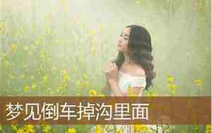 梦见别人倒车掉沟里面什么意思