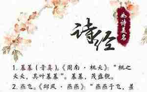 诗经楚辞起名男孩属龙