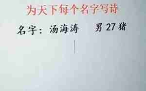 以名字写诗叫什么诗