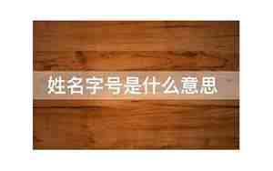 姓名字,姓名字号是什么意思怎么读