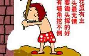 挖墙脚挖来的女朋友是谁