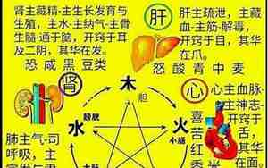 木金火的名字好不好听
