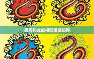 蛇和鸡相配婚姻如何 适合在一起吗