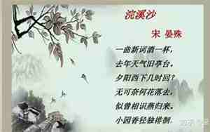 对面相思如何理解诗句呢