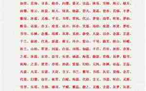 男生带文的名字