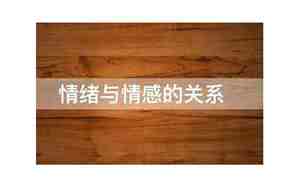 感情与情感的区别和联系