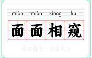 面相相似成语意思解释