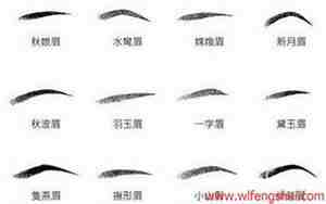 连起来的一字眉