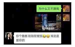 女朋友不理你不回信息给你怎么办?