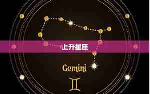 2月的星座是哪个星座?