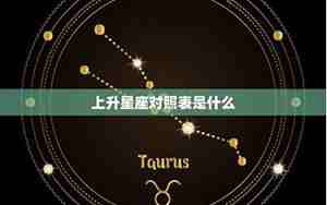 上升星座巨蟹座女甿