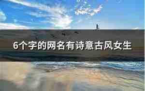 有诗意的二字网名三人组
