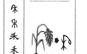 禾字取名最佳组合