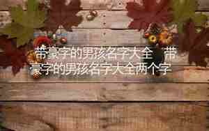 带豪的男孩名字有哪些