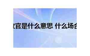一年结束完美收官感言