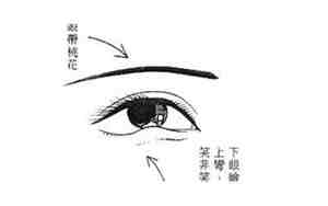 犯桃花的女人有什么特征
