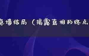 隐墙最后出去了吗