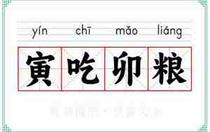 寅吃卯粮的拼音