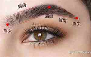 眉头骨高是什么面相图片