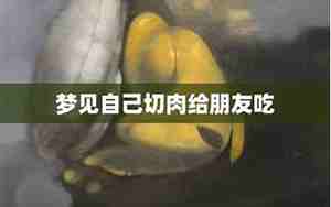 梦见自己的肉给别人吃