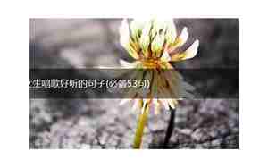 高情商夸女生声音好听