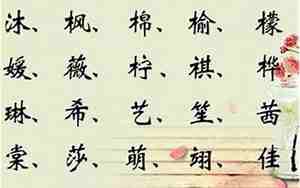 五行缺木水女孩取名精选