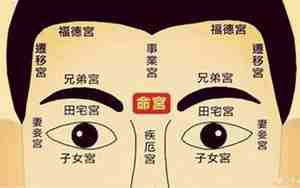 面相讲究宫位的男人能嫁吗