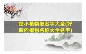 给植物取名字取什么好听