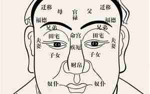 13个下巴的面相图解