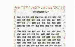 瑞字取名男孩名字大全