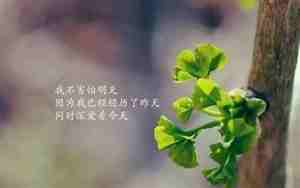 正能量的网名女简单