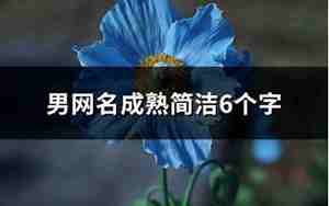 网名男成熟稳重