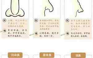 鼻子肉肉的有福气吗
