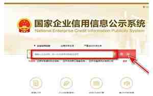 注册名字查询官网入口