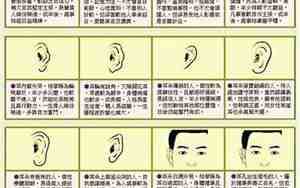 耳朵外露的人好不好