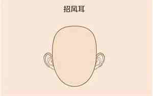 招风耳面相分析