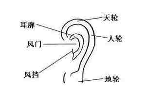 耳道轮廓面相解释大全