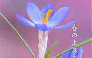 3月21日是什么节日呢